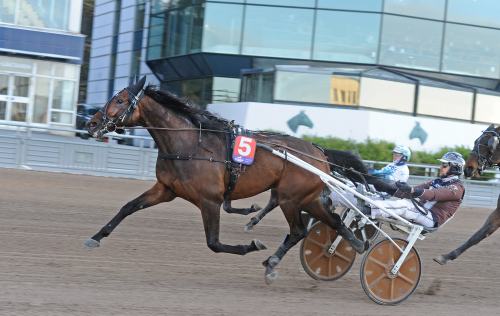 ”Otroligt nöjd med hästen”