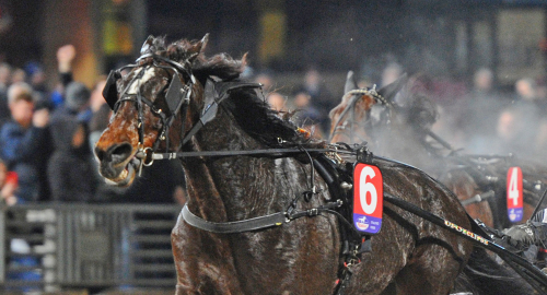 Svensktränad fast i dopingtest