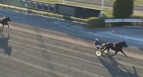 Hästen som vägrar förlora