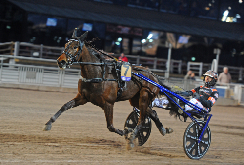 Femte raka och miljonär