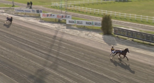 Södervalls kallblodshopp