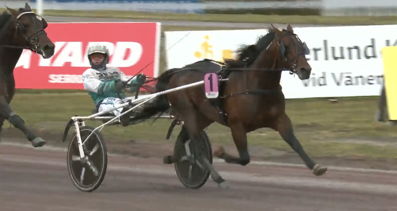 Keep Asking stack undan till enkel seger i årsdebuten på Färjestad idag. Skärmbild ATG Live