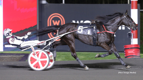 Elitloppshäst vann årsdebut