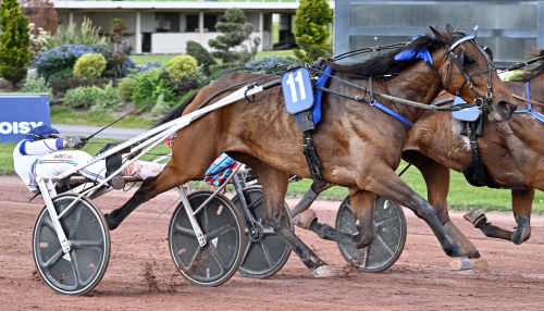 Äntligen en stor seger