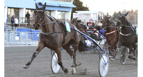 Mogen för seger igen