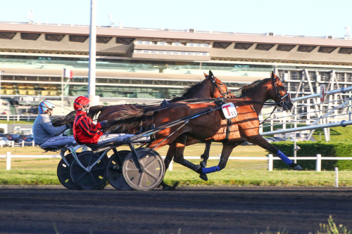 ”Elitloppstest” på Vincennes