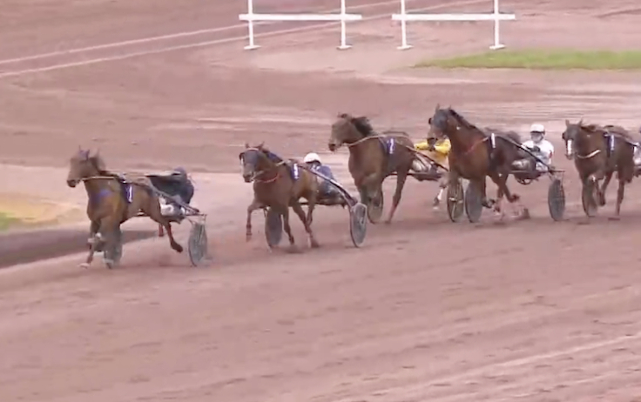 Jolie Star vinner för Mathieu Mottier.