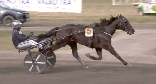 Berghs klassklättrare