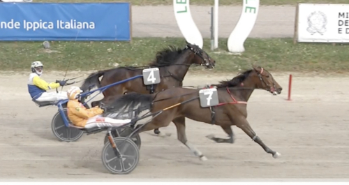 Ingrid med knapp marginal