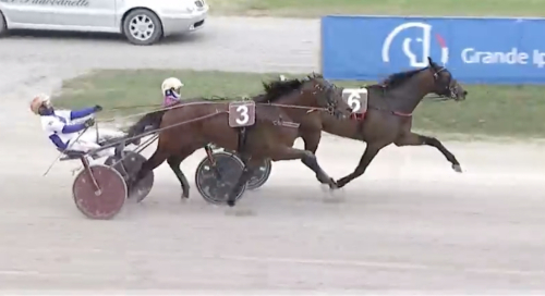 Ny seger för Gocciadoro