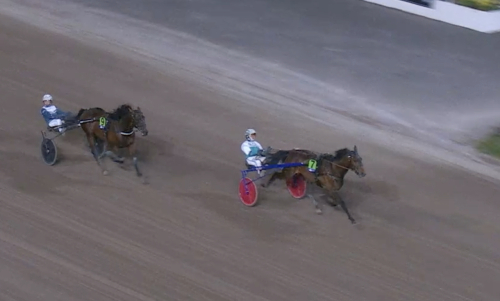 Uppvisning av City Slicker