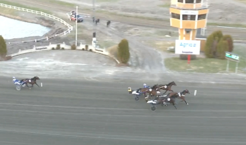 Kobra Brick från dödens