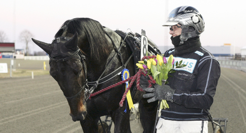 V85-jackpot: Berghs repris?