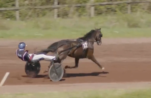 Blågul trippel på landsorten