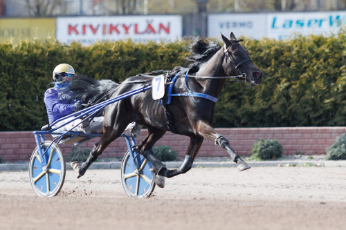 Betting Pacer till Finland