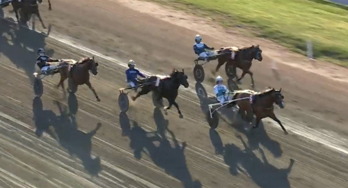 Kungakval: Promenad för Wise Guy
