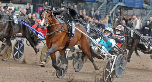Stjärnorna i pokalloppskvalen