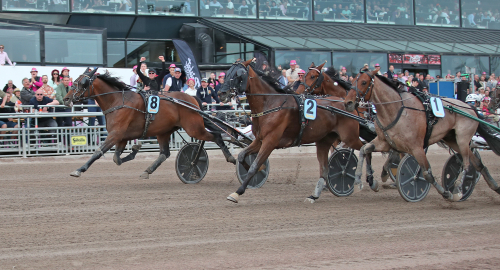 104-oddsare avslutade