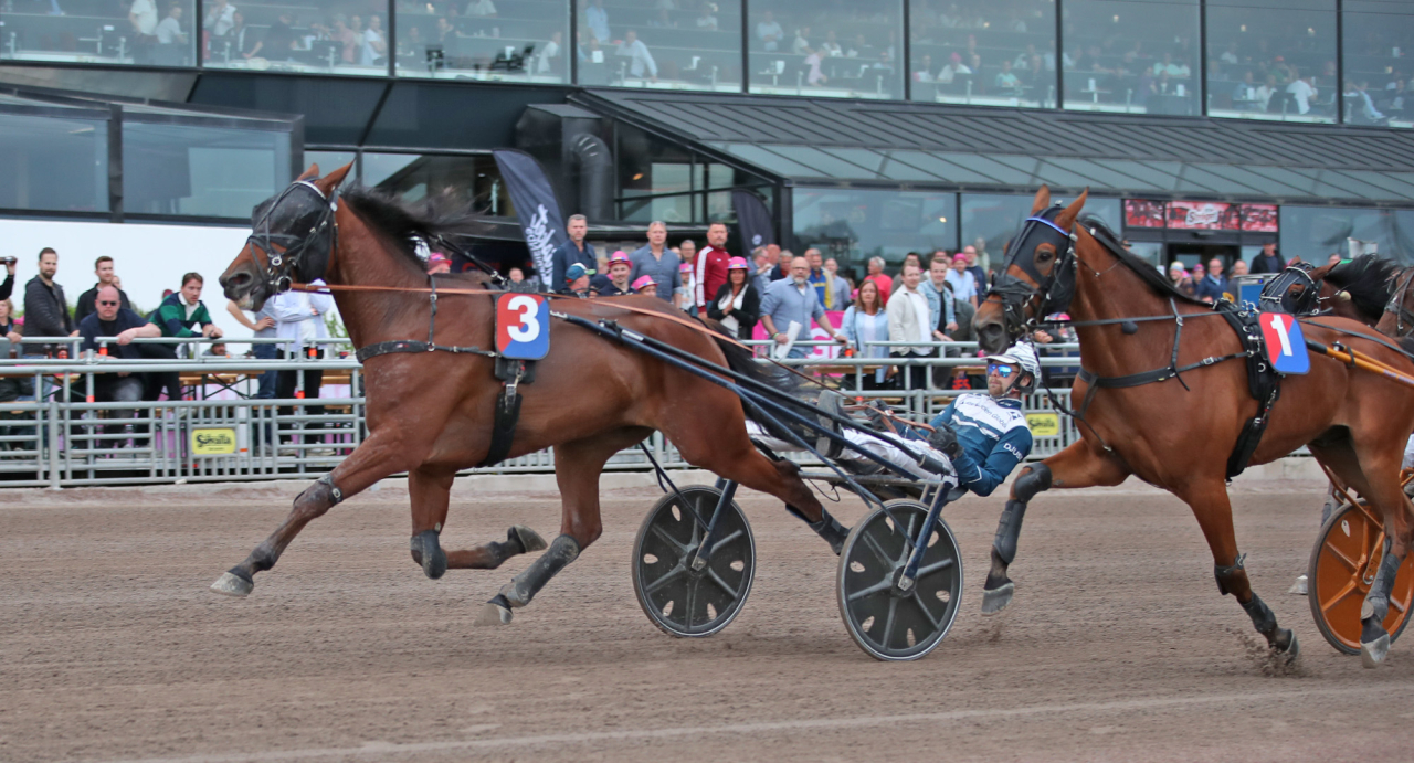 Useful Tile och Magnus A Djuse. Foto Mathias Hedlund/Sulkysport