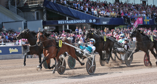 Enkelt för favoriten