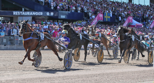 Goop etta i Elitkampen