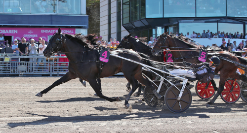 Don Fanucci till Norge
