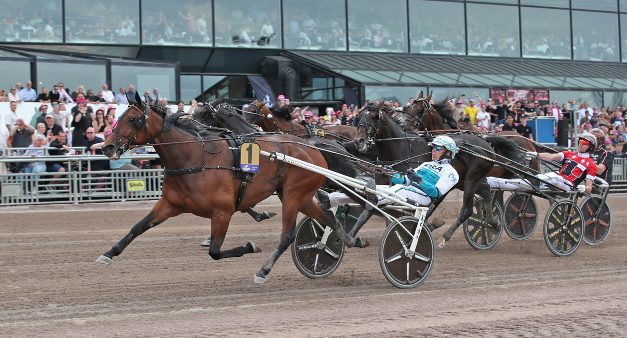 Daniel Redén-tränade Double Deceiver och Örjan Kihlström tog hem Sweden Cup på topptiden 1.08,8a/1.640 meter. Foto Mathias Hedlund/Sulkysport