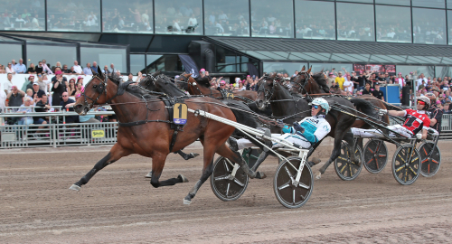 Tidernas Sweden Cup