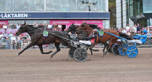 Domarbasens triumf