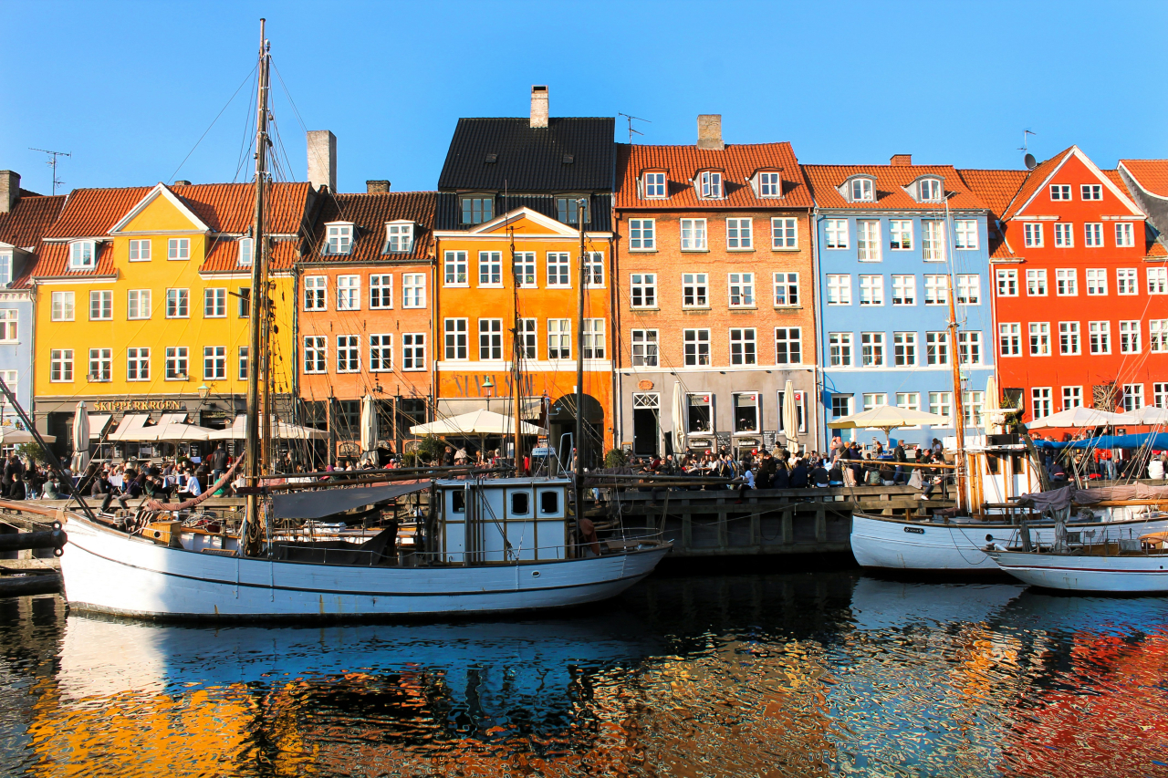 I sommar ska det säljas ettåringar i Nyhavn i Köpenhamn,