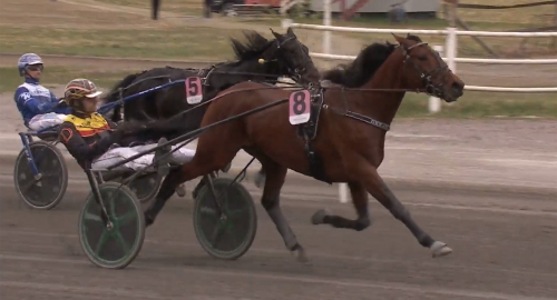 V85: Vilken drömårsdebut