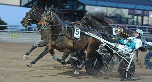 V85-tips: Vinnare som valack
