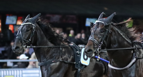 ATG: ”Ökad risk för spelfusk”