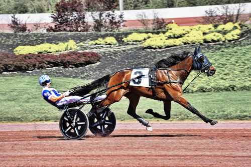Obesegrad efter fyra starter