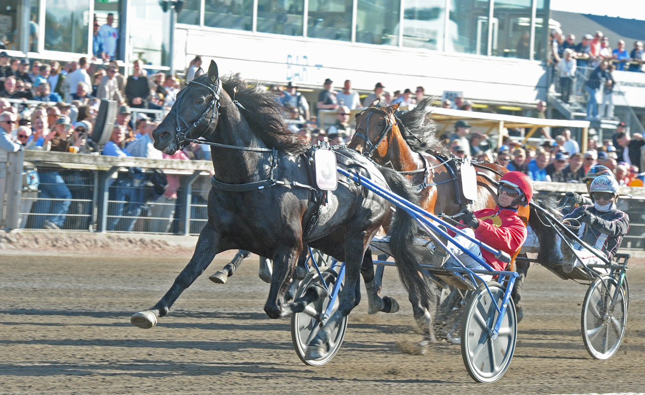 Loxahatchee och Daniel Wäjersten. Foto: Adam Ström/stalltz.se