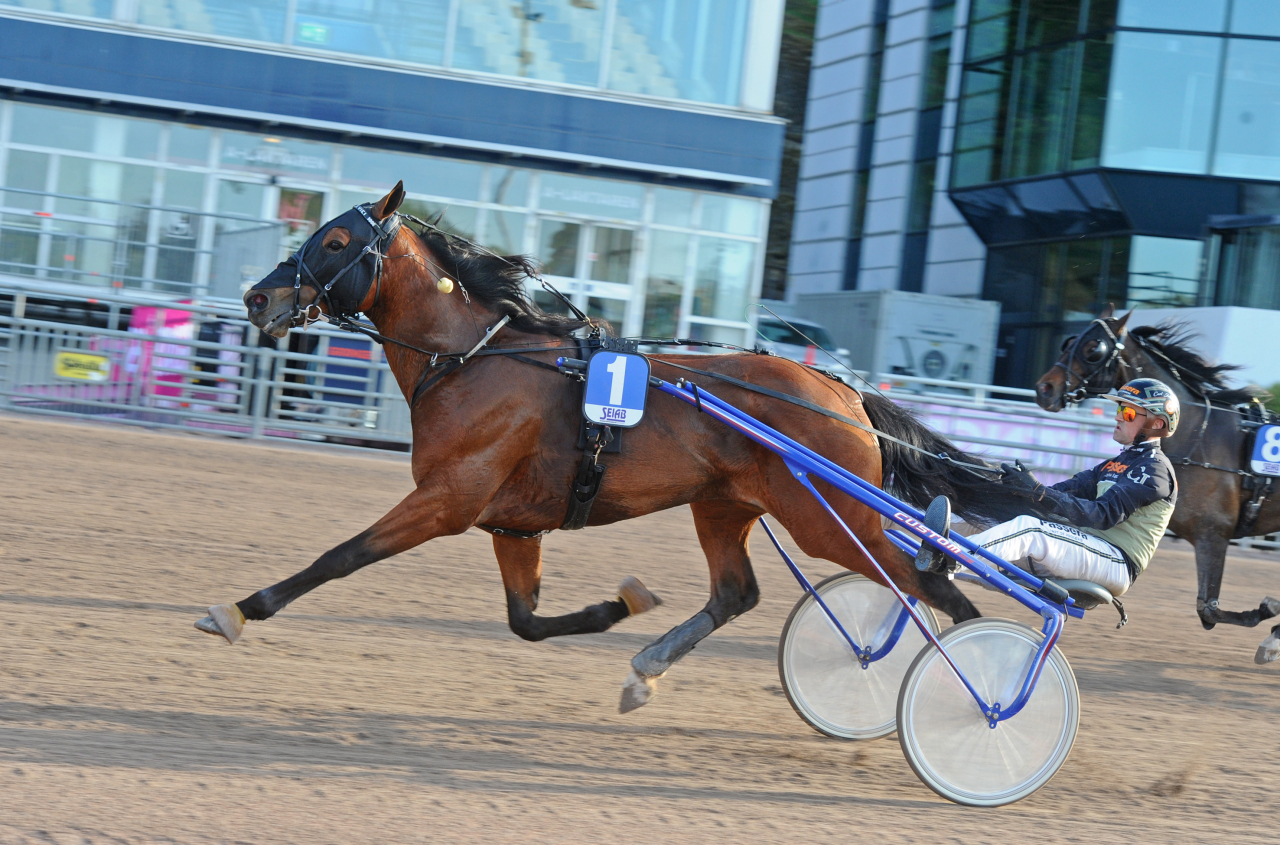 Maximus Vici vinner för Carl Johan Jepson. Foto: Adam Ström/stalltz.se