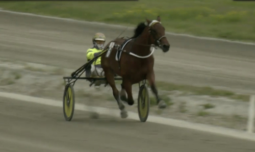 Face Time Spada vann årsdebut