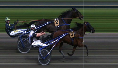 Trippel till Maharajah
