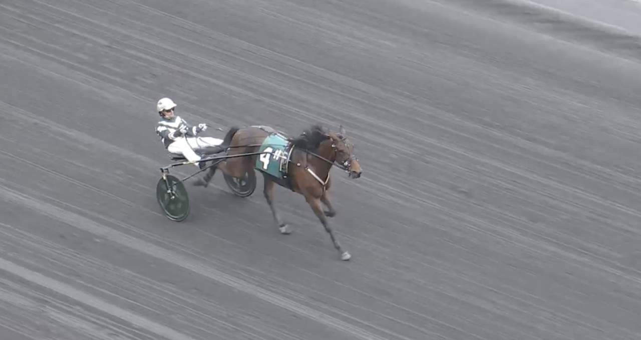 Antognoni var ensam på målfotot i Maxie Lee Invitational för Yannick Gingras.