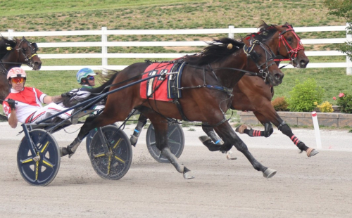 Storpott till Marcus Melander