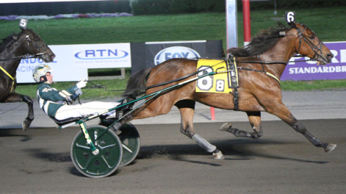 Visar Antognoni Elitloppsklass?