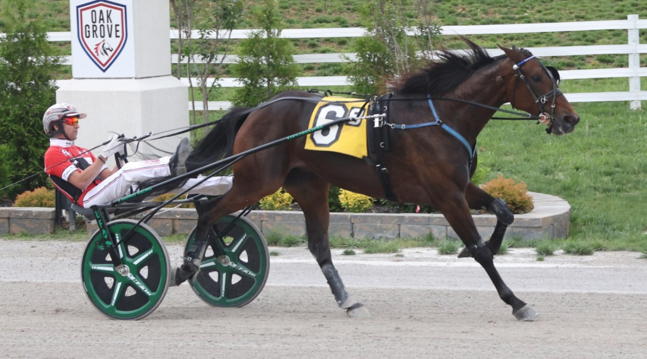 Whiskey Wow vann både på banrekord och världsårsbästa för Dexter Dunn på tusenmetersbana. Foto: Tony Centonze Photography