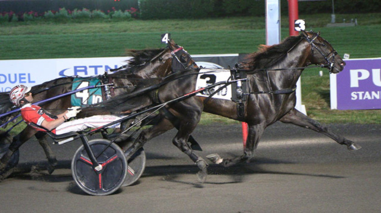 Apex och Dexter Dunn tog hem finalen i New Jersey Sire Stakes. Foto: Lisa Photo