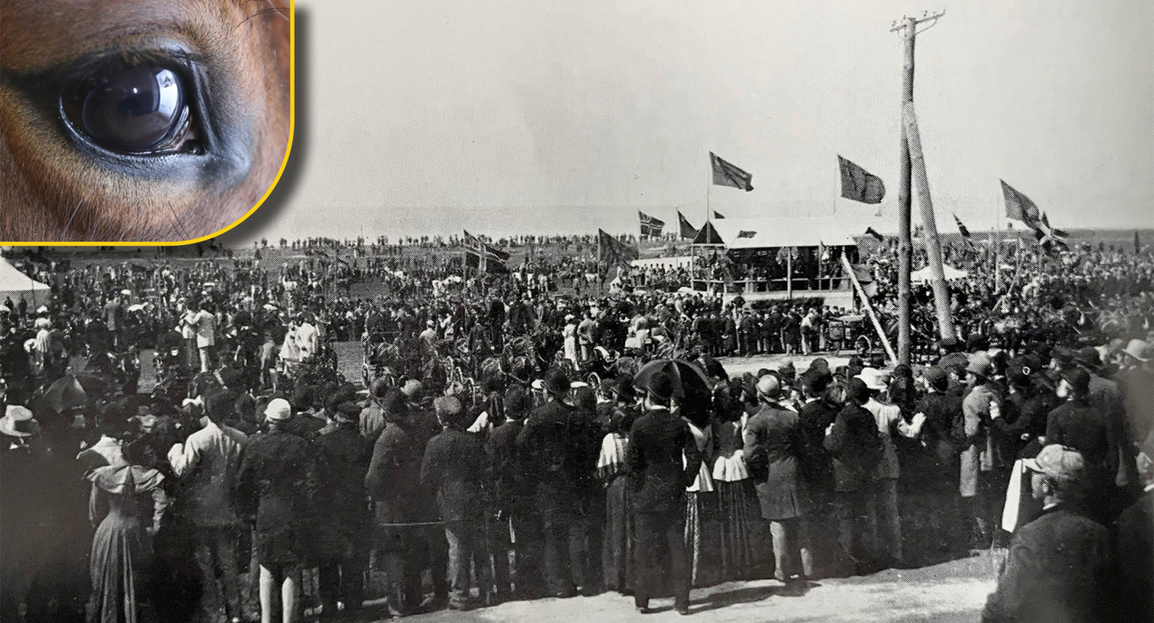 I samband med Malmöutställningen 1896 var det premiär för grästrav med totalisator i Sverige.