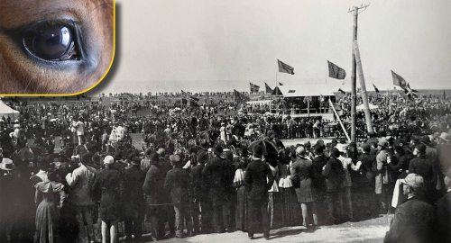 Gräslig historielöshet