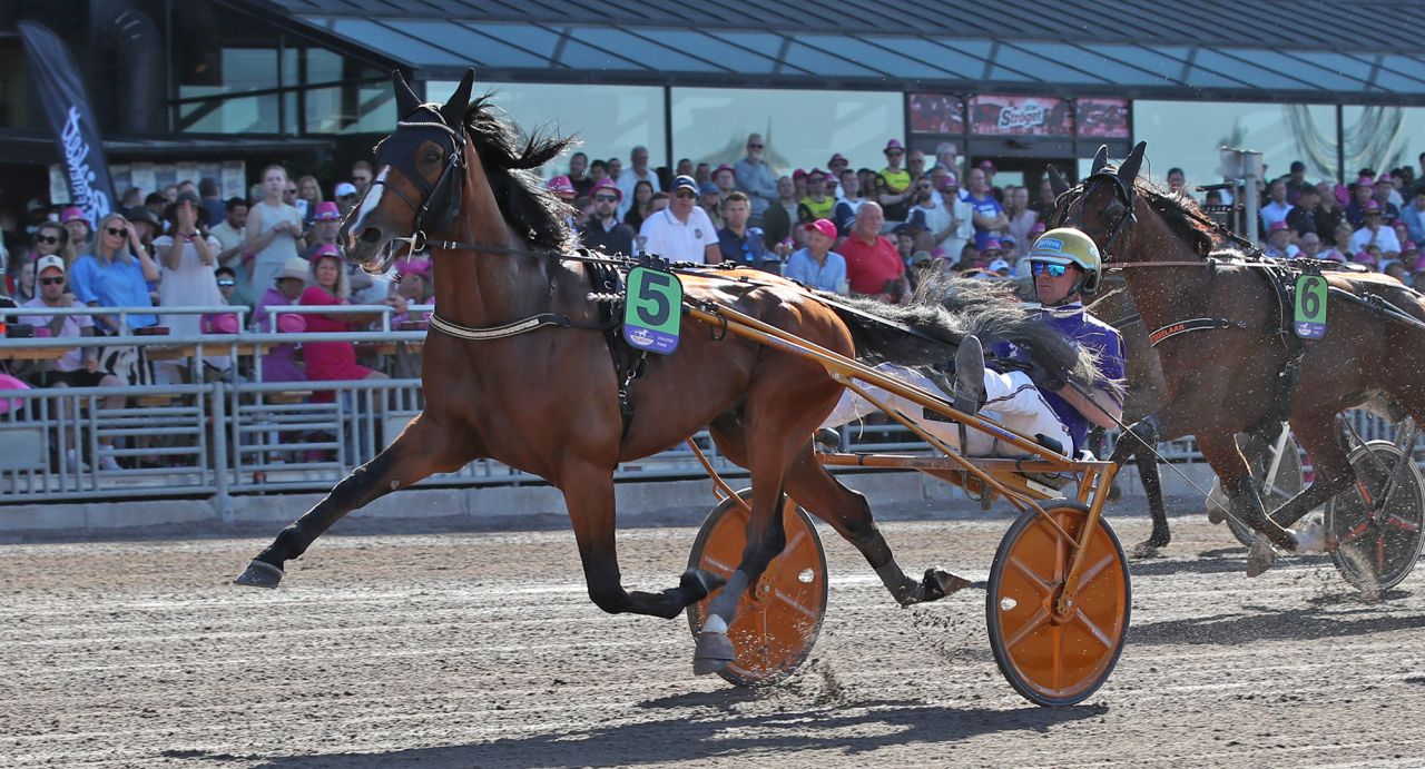 Grosbois och Björn Goop. Foto Mathias Hedlund/Sulkysport