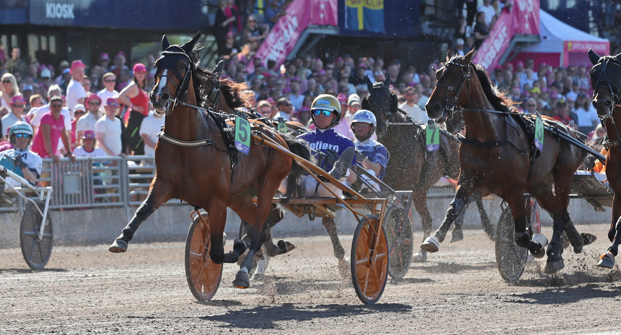 Grosbois och Björn Goop. Foto Mathias Hedlund/Sulkysport