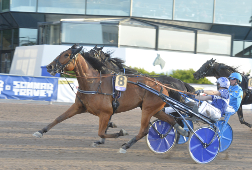 Toppvecka för Readly Express