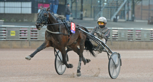 V86-jackpot: Experternas heta vinnare