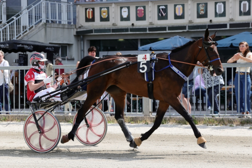 Besegrade Derbyvinnaren